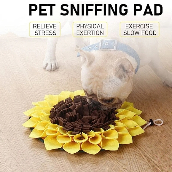 Sniffing Pet Mat - Picture 2 of 5